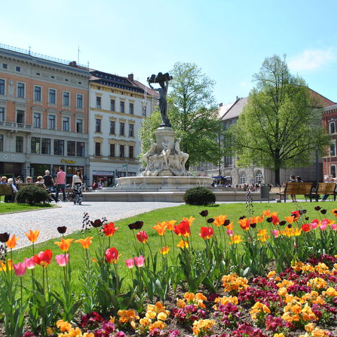 Tulpen blühen auf dem Postplatz in Görlitz. Im Hintergrund flanieren Passanten.